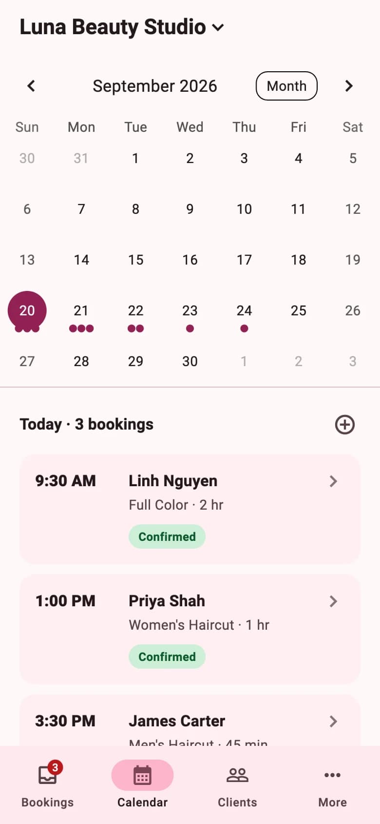 Calendar in the BookVAO app