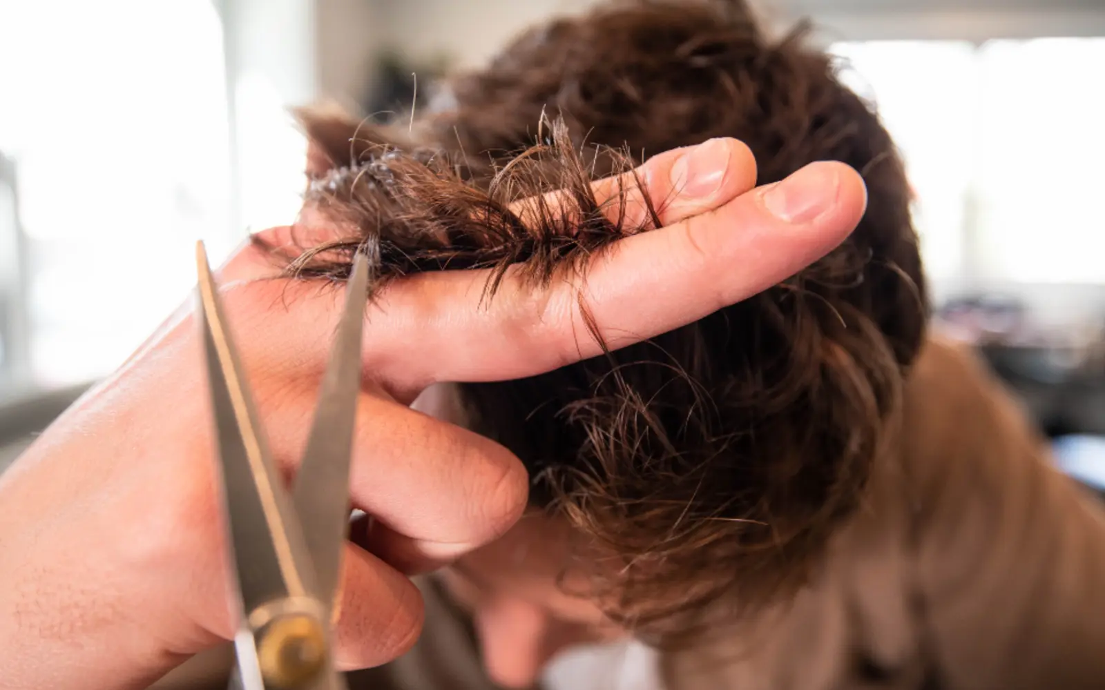 A stylist cutting a client's hair with scissors